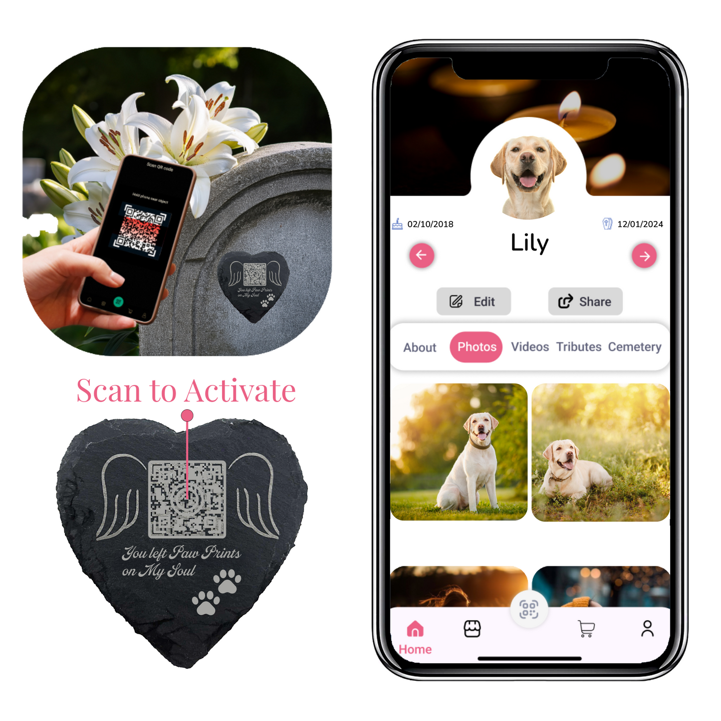 Pet Memorial Plaque with QR Tribute Page – Personalized Remembrance Keepsake for Dogs & Cats, Celebration of Life & Bereavement Gift