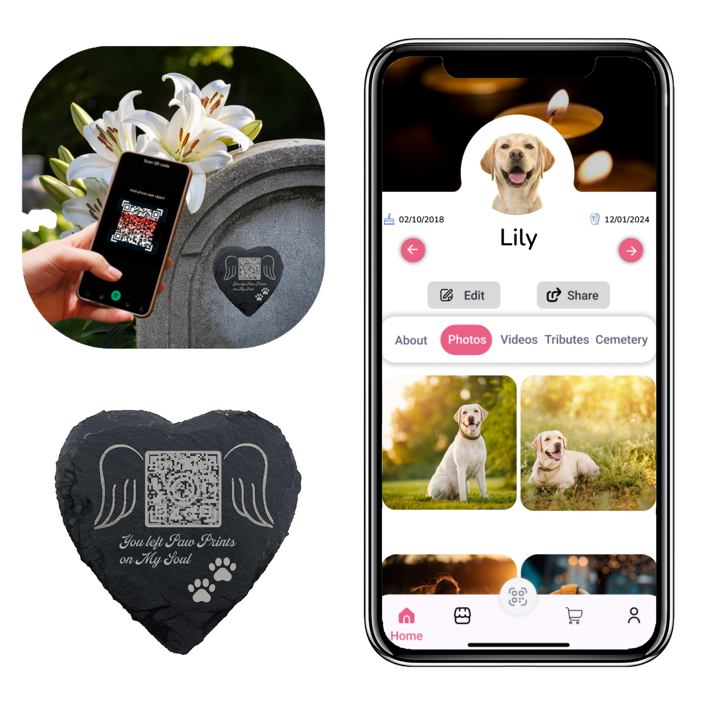 Pet Memorial Plaque with QR Tribute Page – Personalized Remembrance Keepsake for Dogs & Cats, Celebration of Life & Bereavement Gift