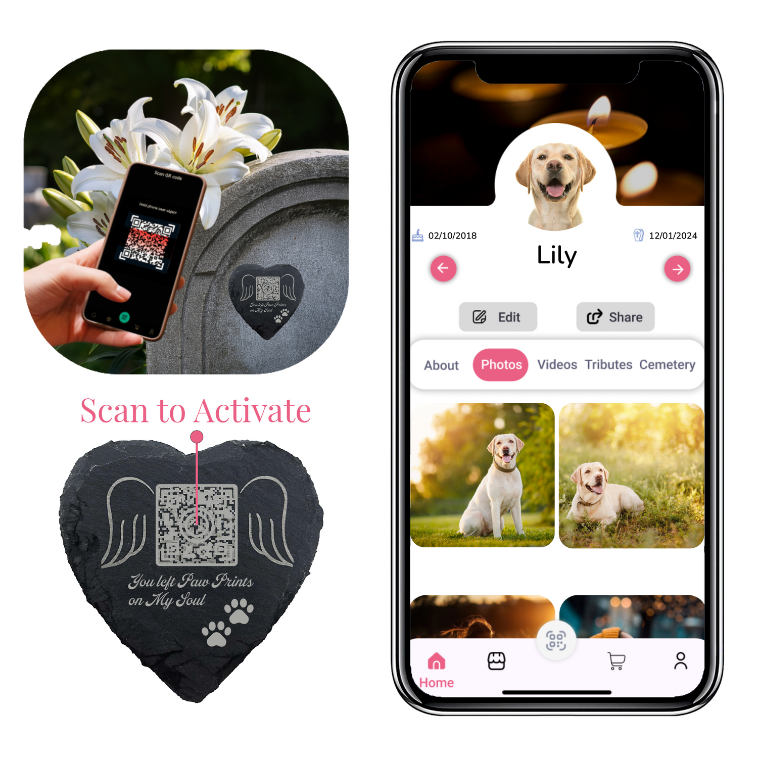 Tribute collection for Pets