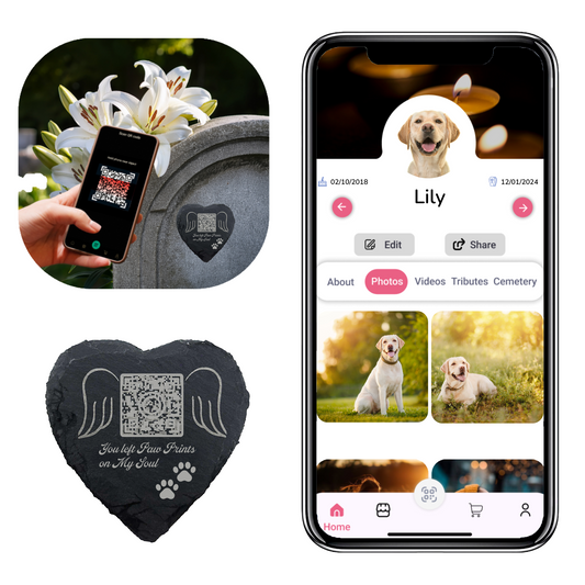 Pet Memorial Plaque with QR Tribute Page – Personalized Remembrance Keepsake for Dogs & Cats, Celebration of Life & Bereavement Gift